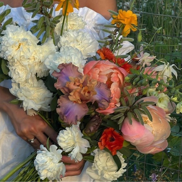 Meet your Posher, Sula - Picture 1 of 1